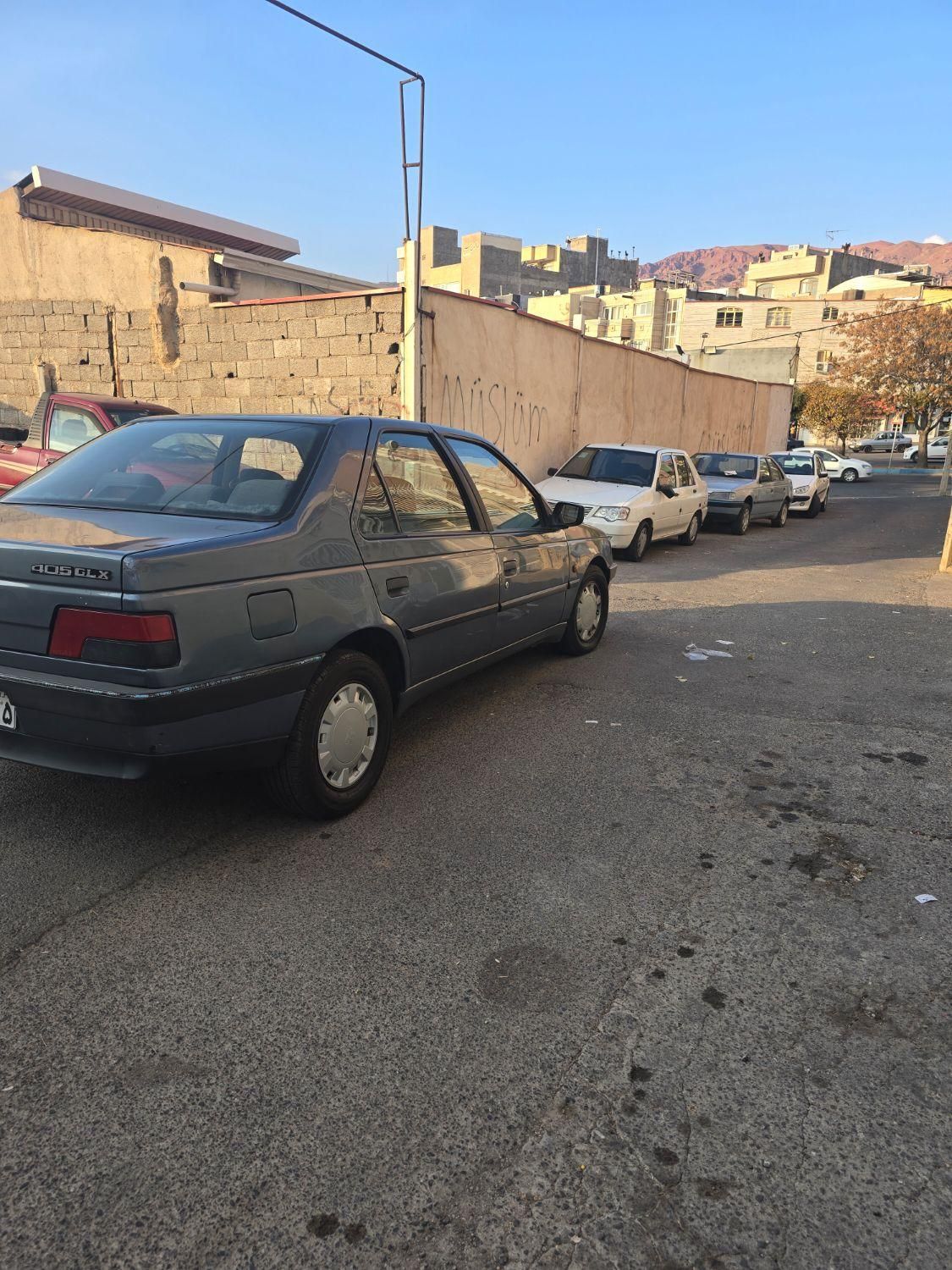 پژو 405 GLX - دوگانه سوز - 1394