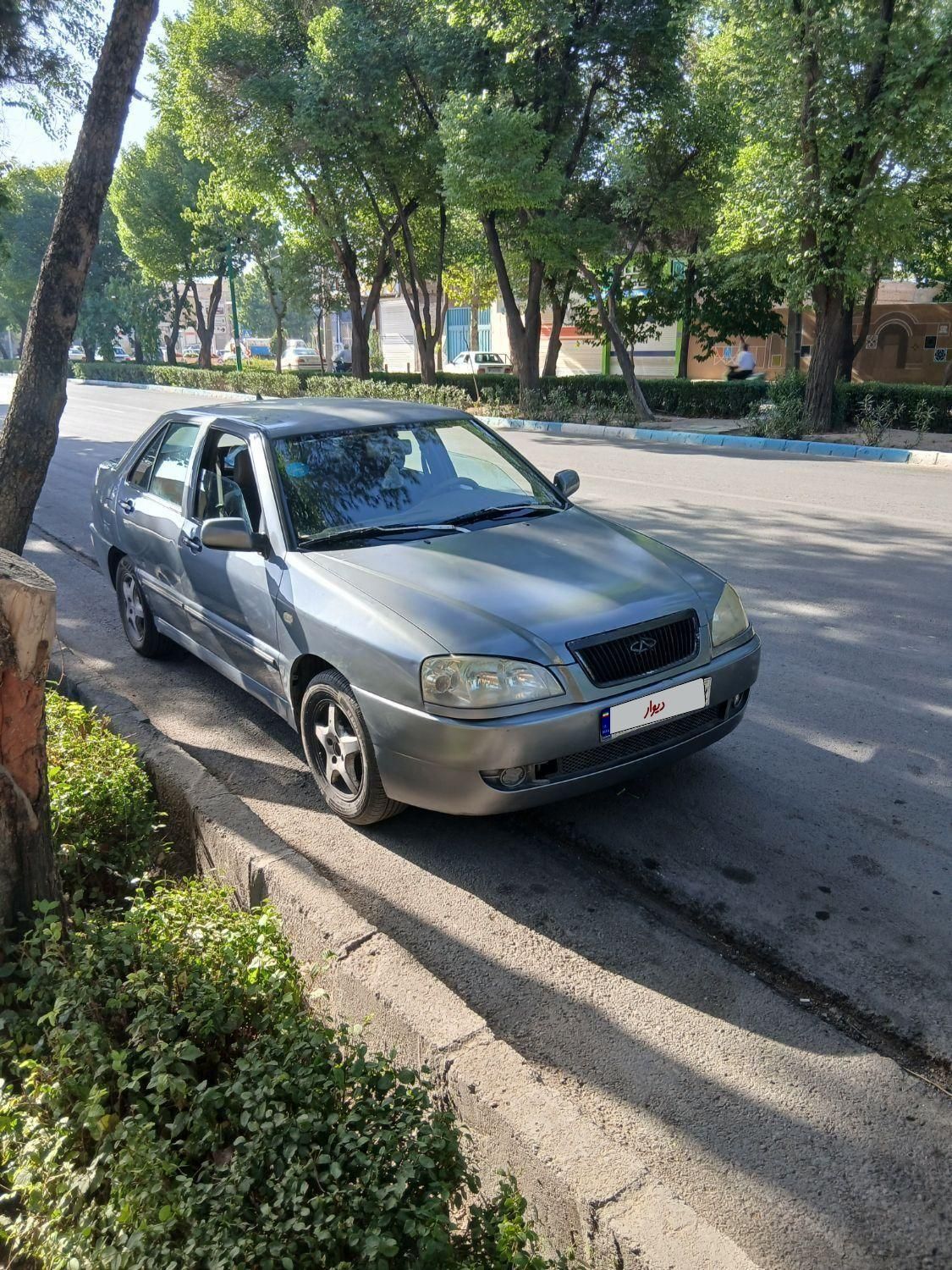 چری ویانا دنده ای - 2010