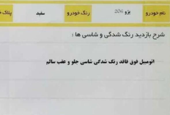 پژو 206 تیپ 2 - 1391