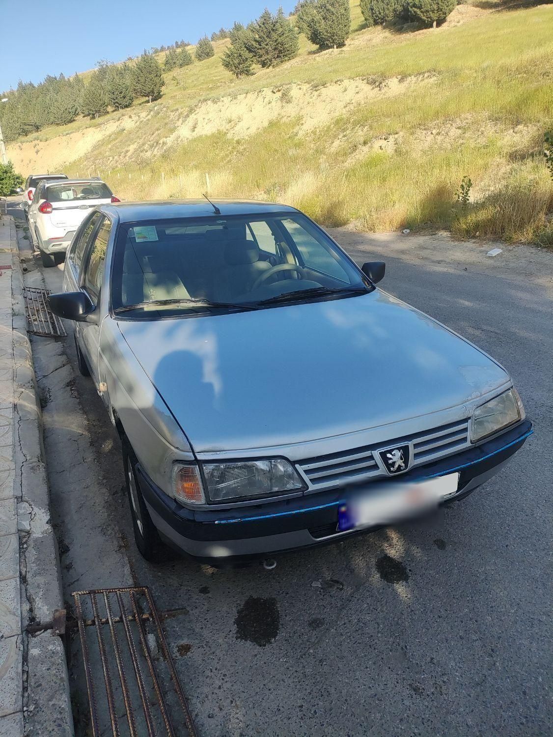 پژو 405 GLX - دوگانه سوز - 1391