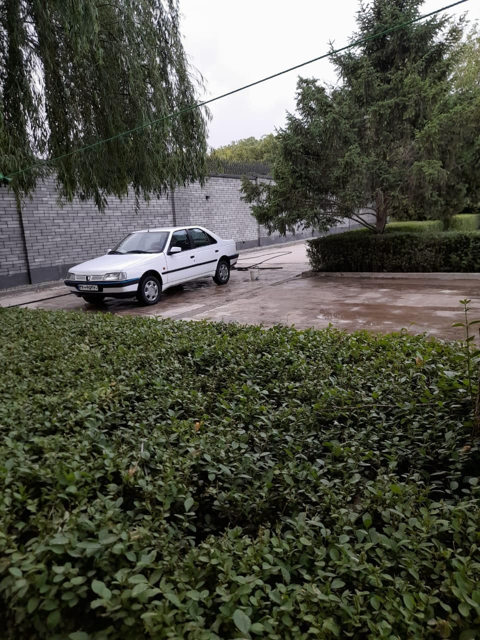 پژو 405 بنزینی GLX - TU5 - 1390