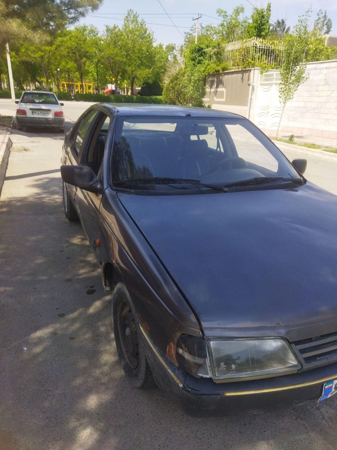 پژو آردی دوگانه سوز CNG - 1381