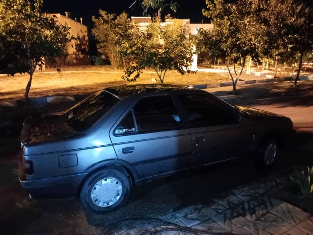 پژو آردی دوگانه سوز CNG - 1382