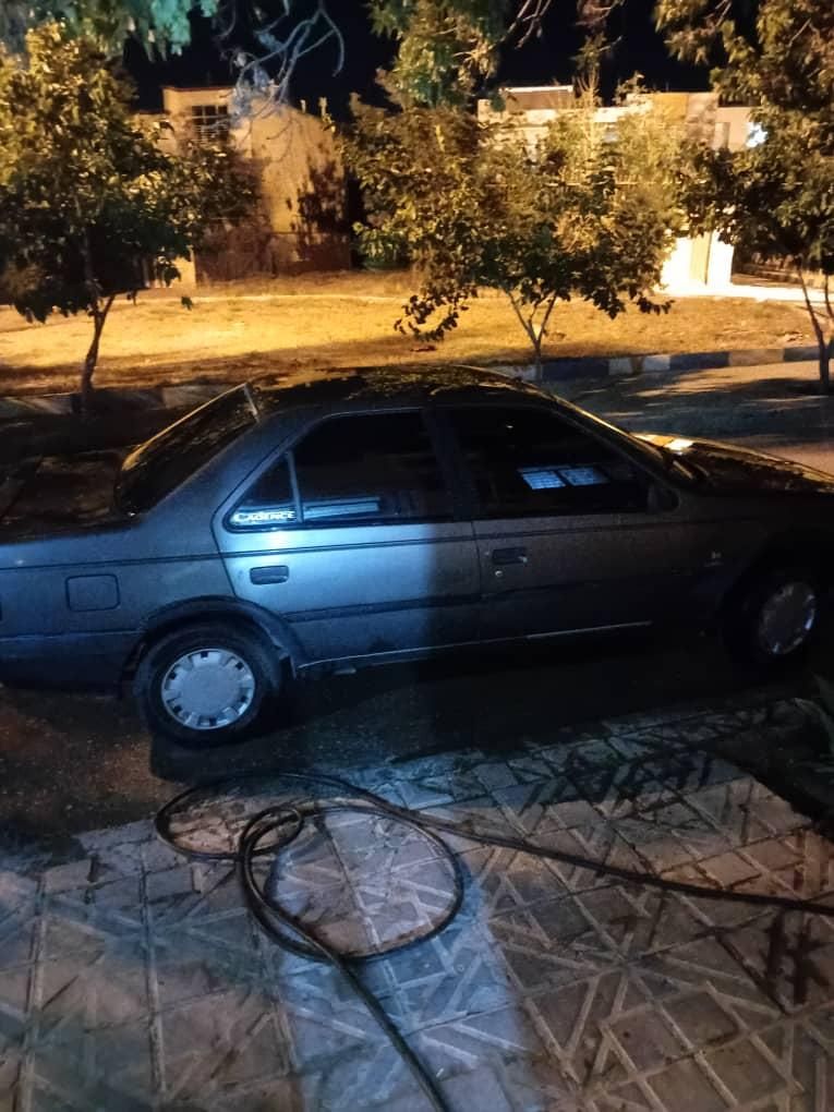 پژو آردی دوگانه سوز CNG - 1382