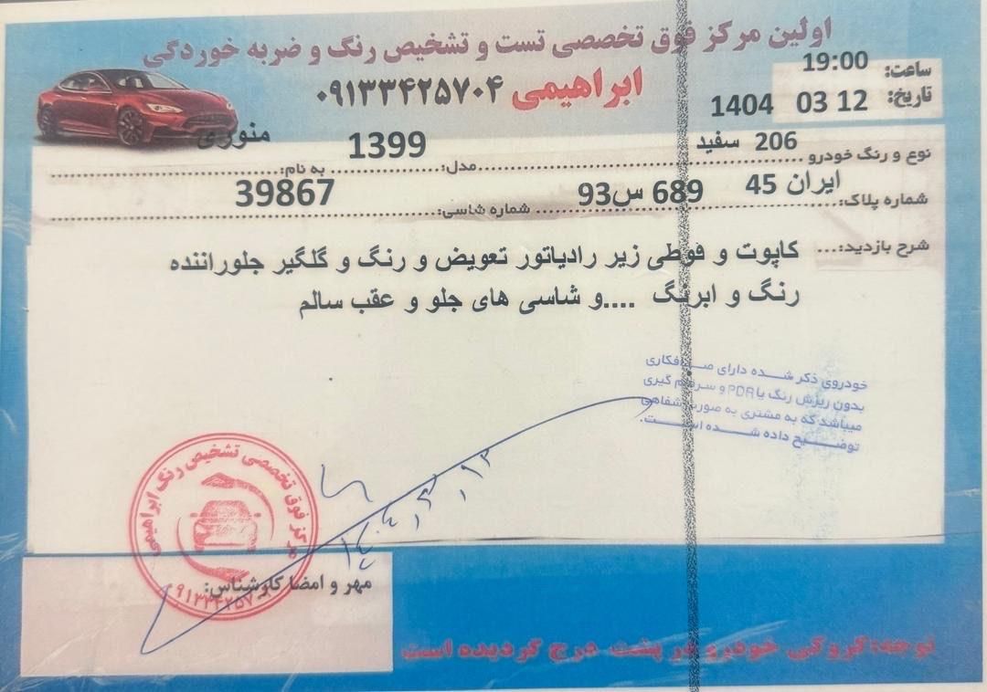 پژو 206 تیپ 2 - 1399