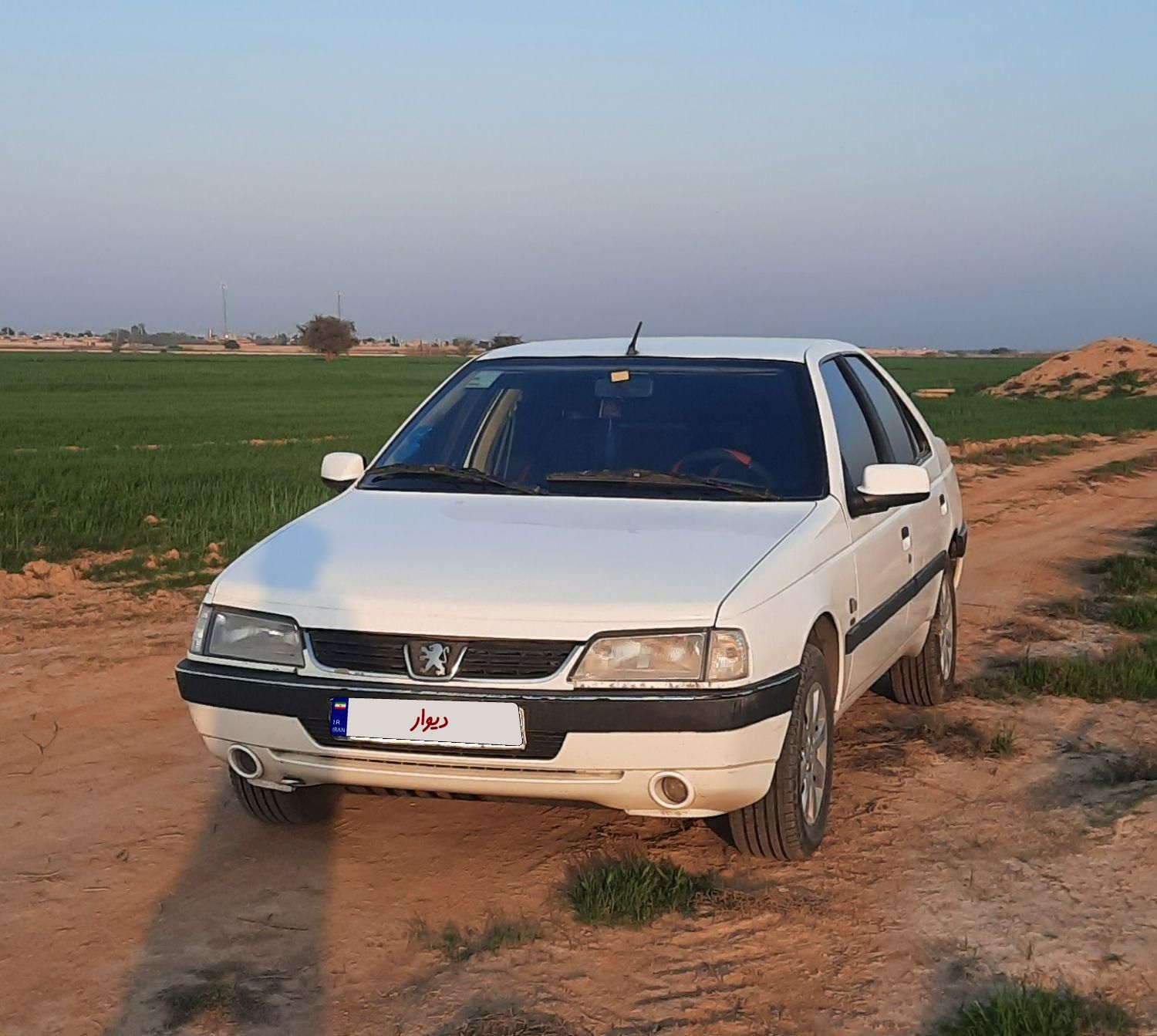 پژو 405 SLX بنزینی TU5 - 1391