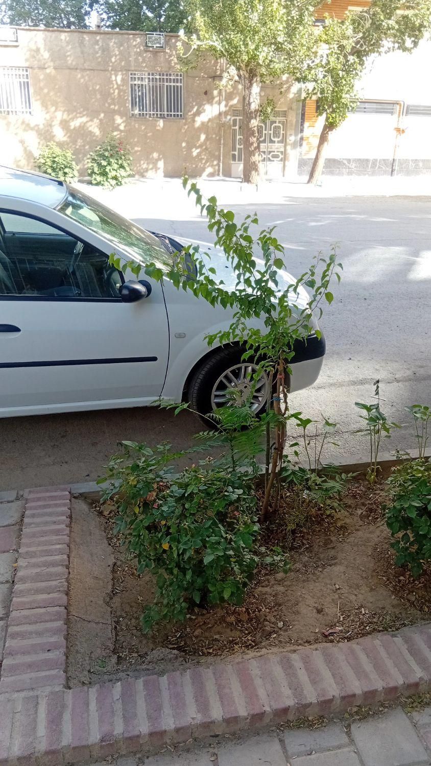 رنو تندر 90 E2 - 1395