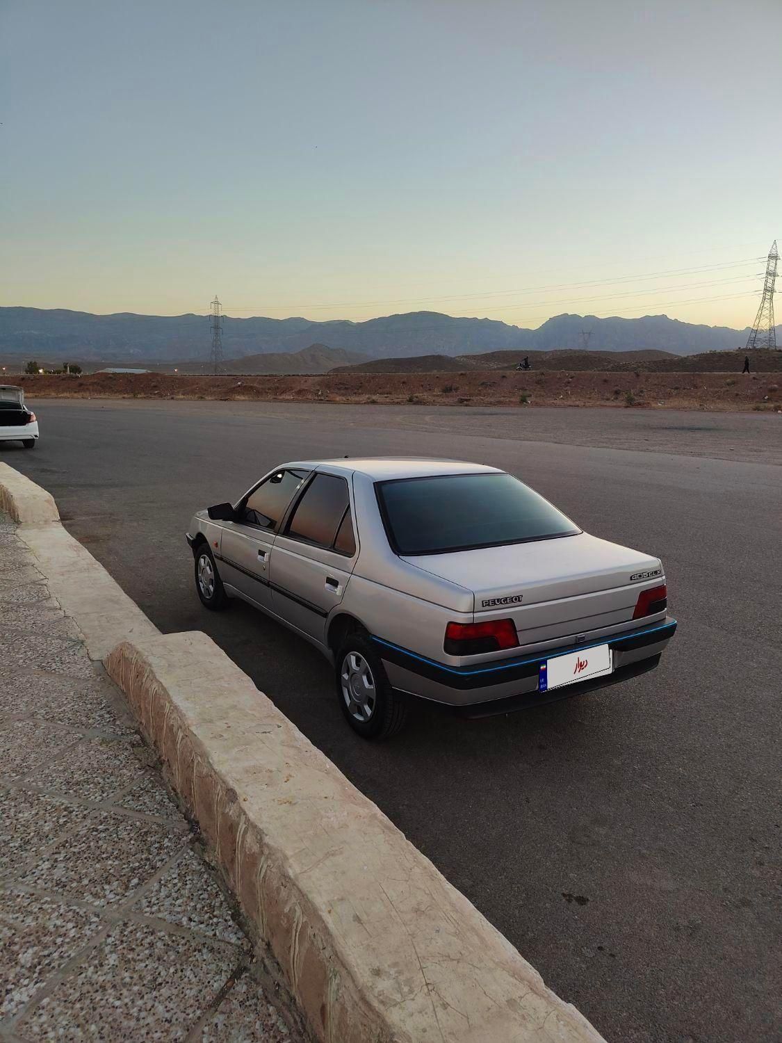 پژو 405 بنزینی GLX - TU5 - 1389