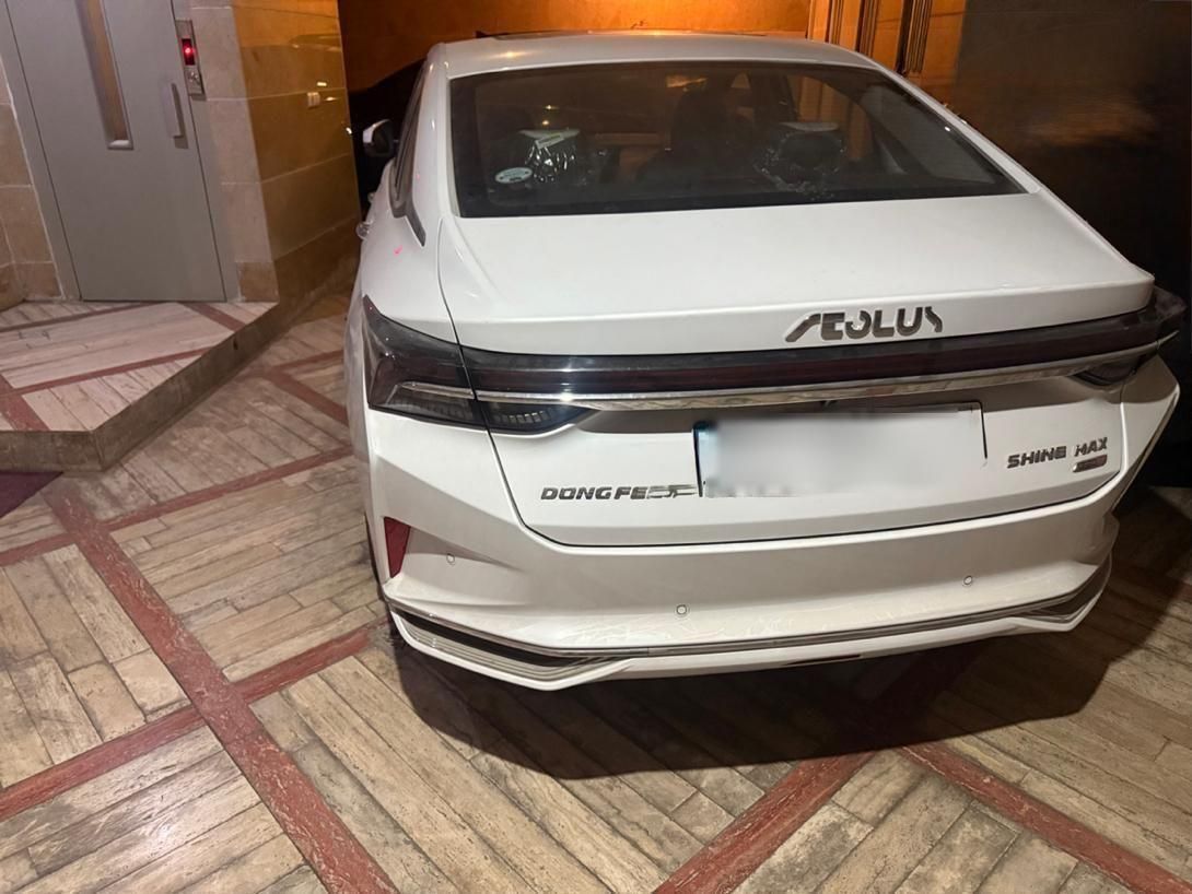 خودرو دانگ فنگ، شاین مکس آگهی ann_18516972