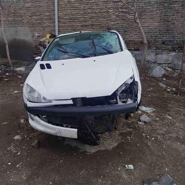 خودرو پژو، 206 آگهی ann_18518483