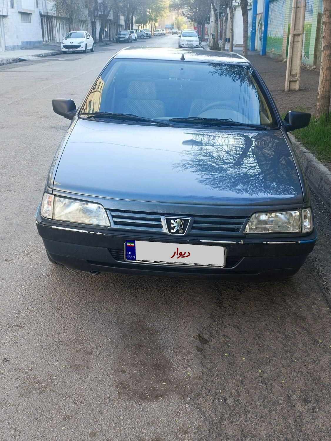 پژو 405 GLX - دوگانه سوز - 1393