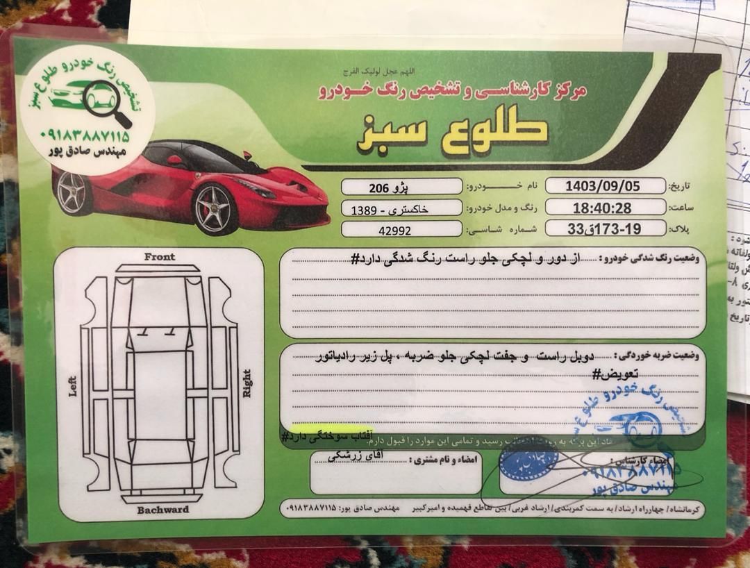 پژو 206 تیپ 2 - 1389