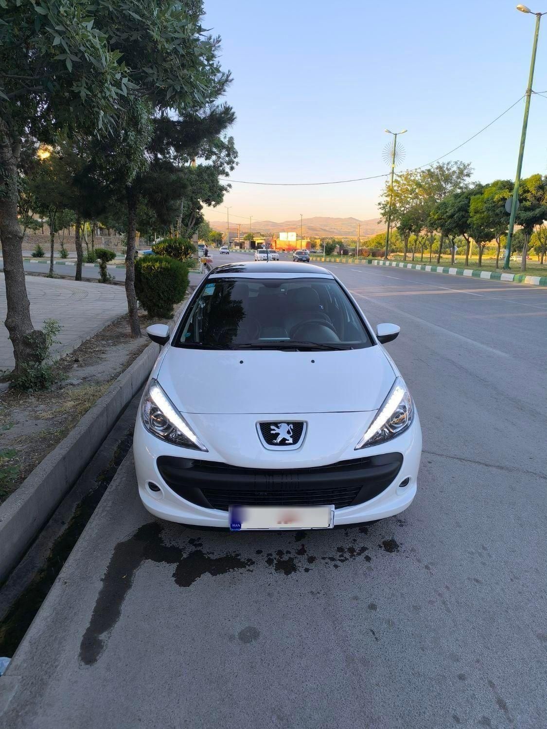 خودرو پژو، 207 آگهی ann_18520389