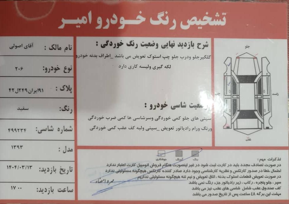 پژو 206 تیپ 5 - 1393