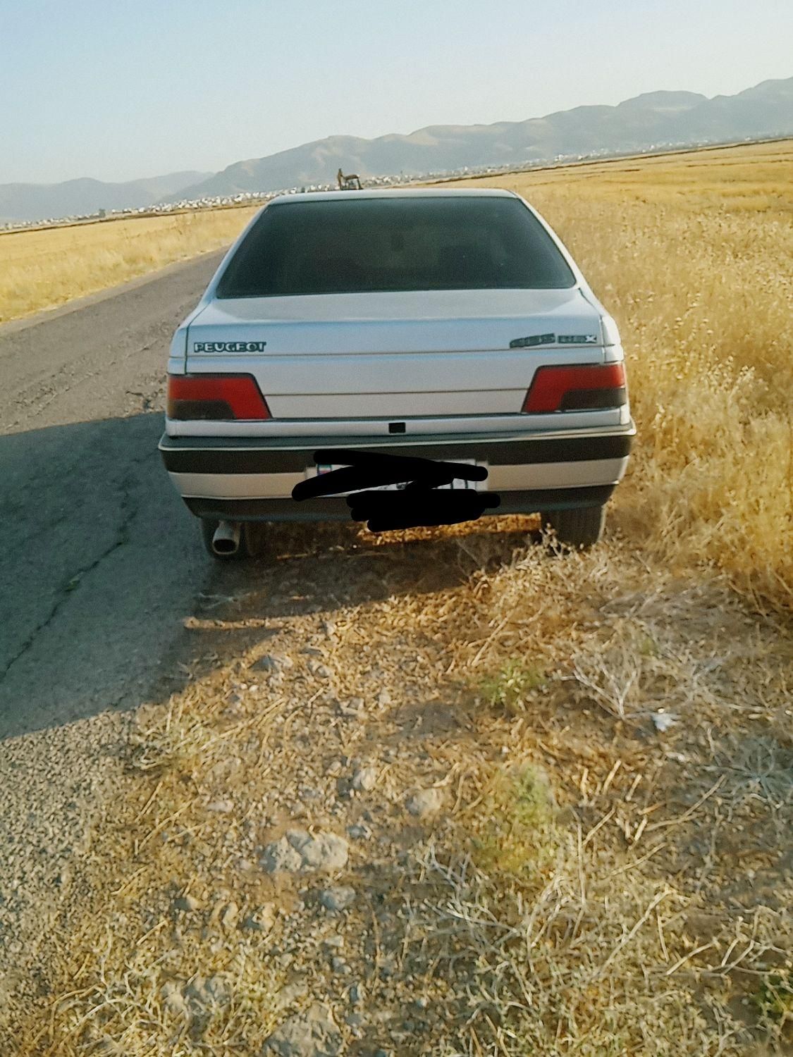 پژو 405 GLX - دوگانه سوز - 1391