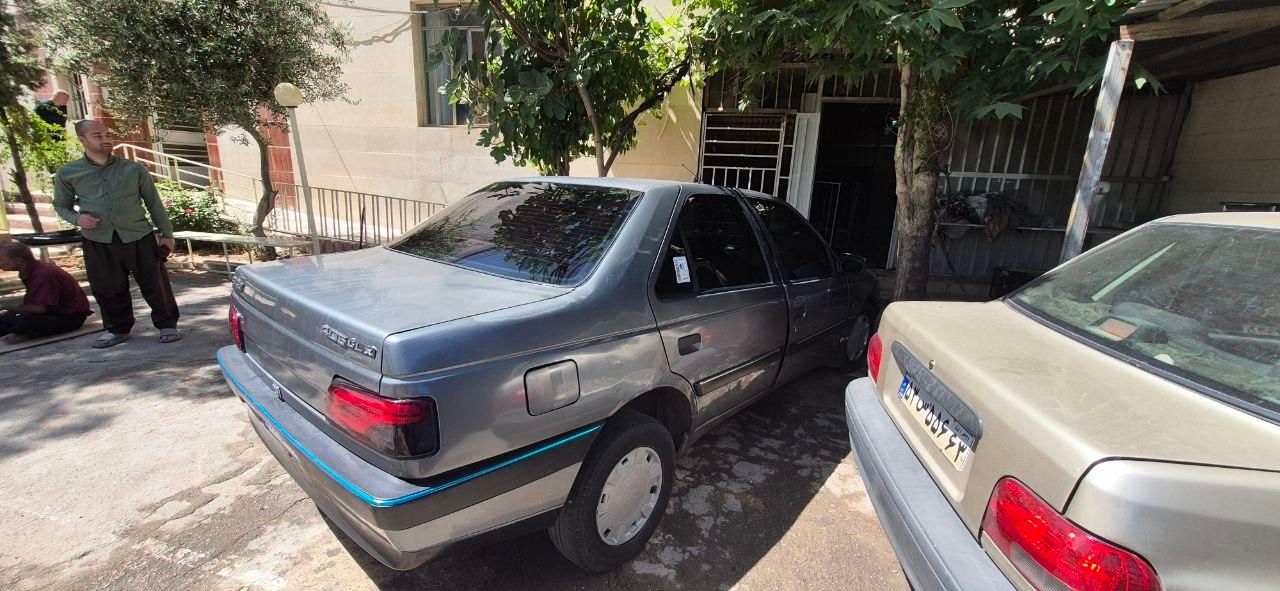 پژو 405 GLX - دوگانه سوز - 1389