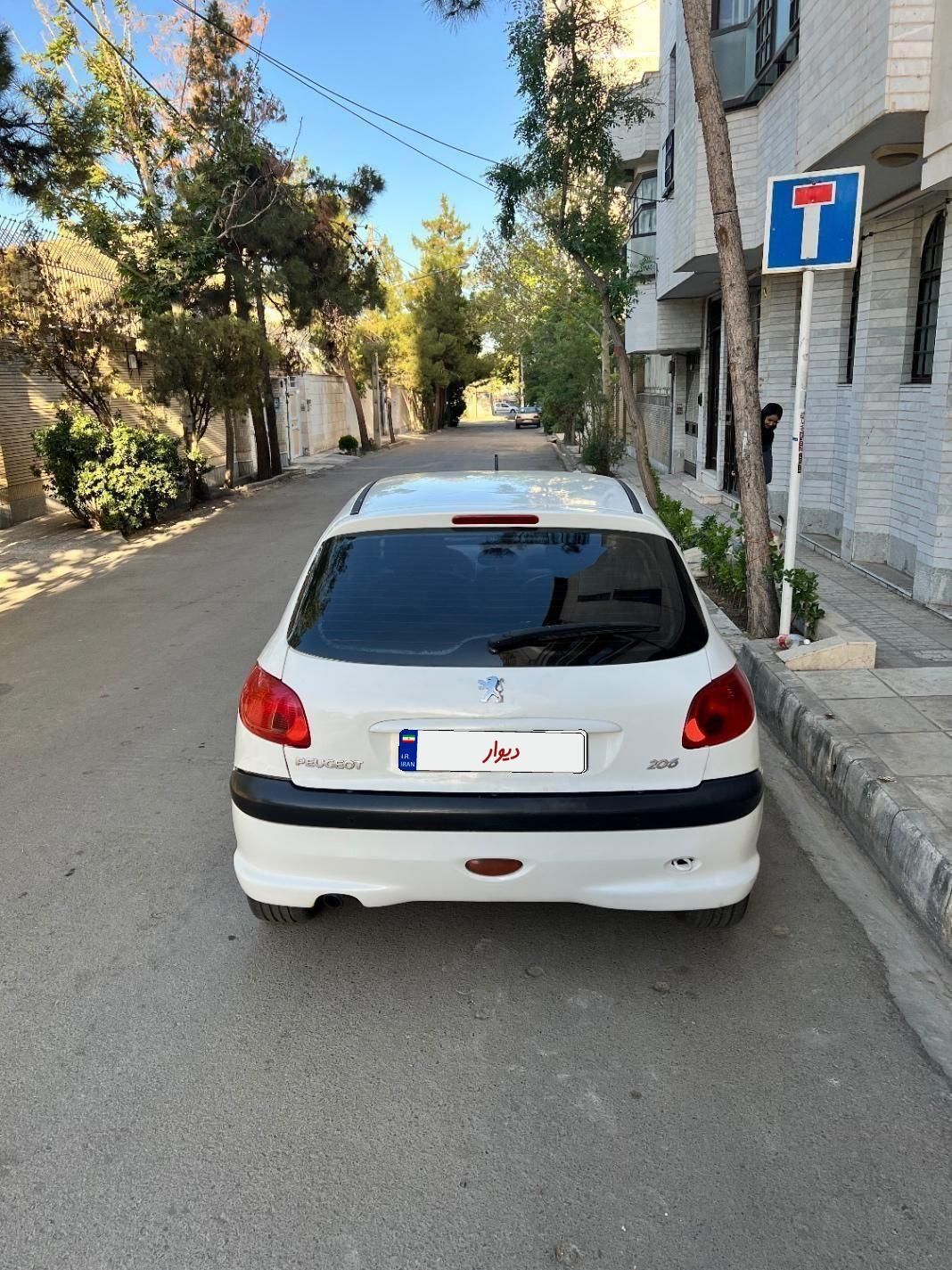 پژو 206 تیپ 3 - 1394