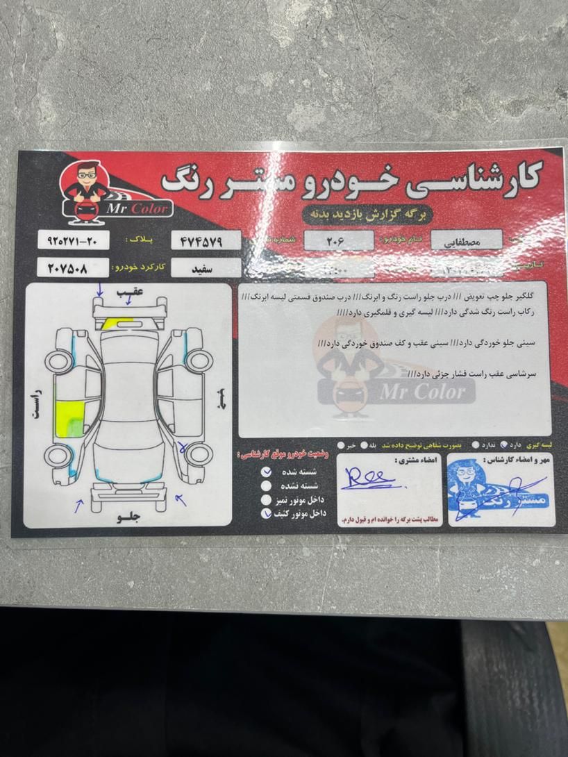پژو 206 تیپ 2 - 1389