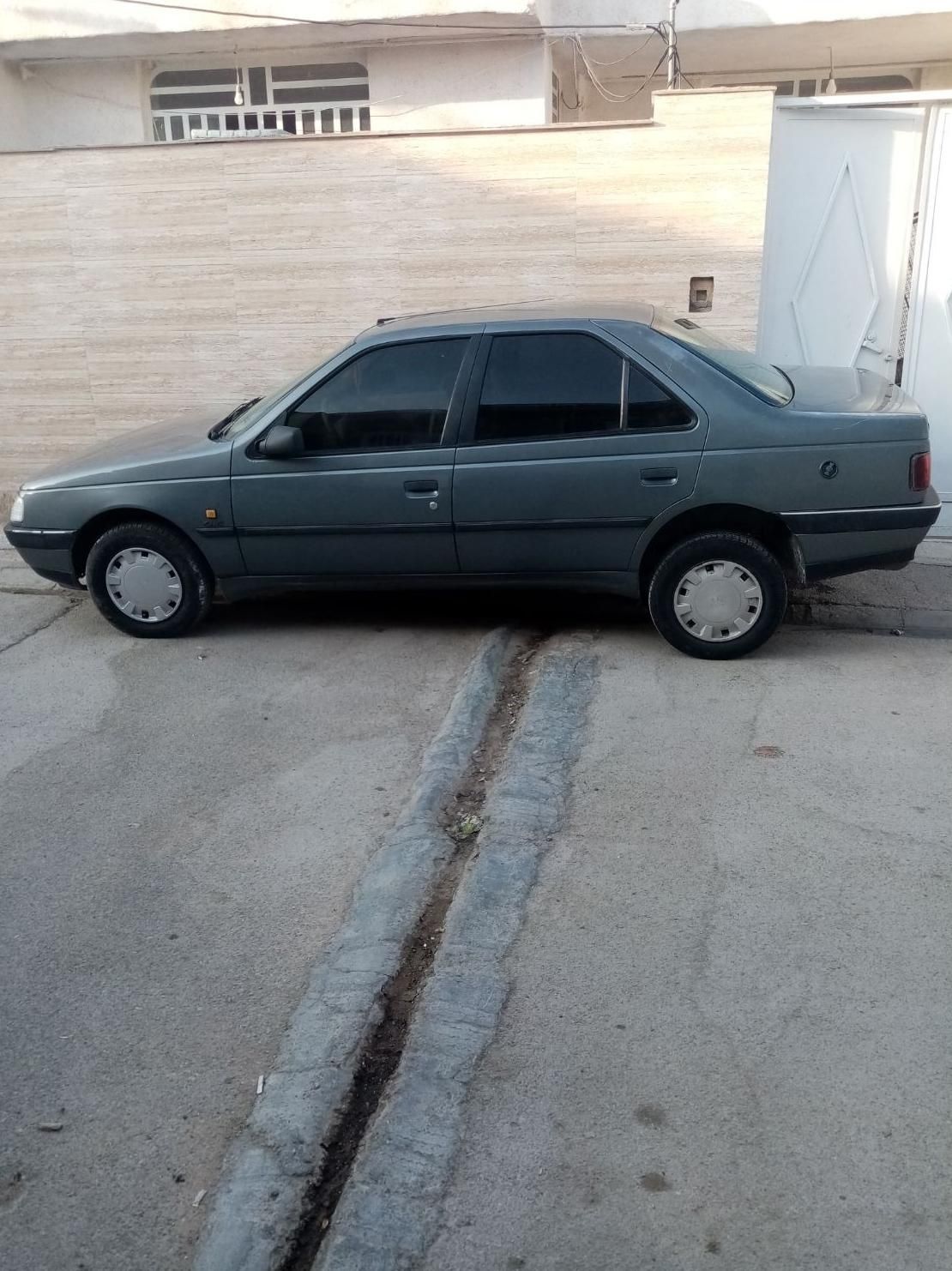 پژو 405 GLX - دوگانه سوز LPG - 1389