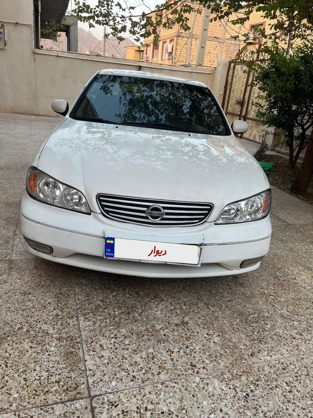 خودرو نیسان، ماکسیما آگهی ann_18535824