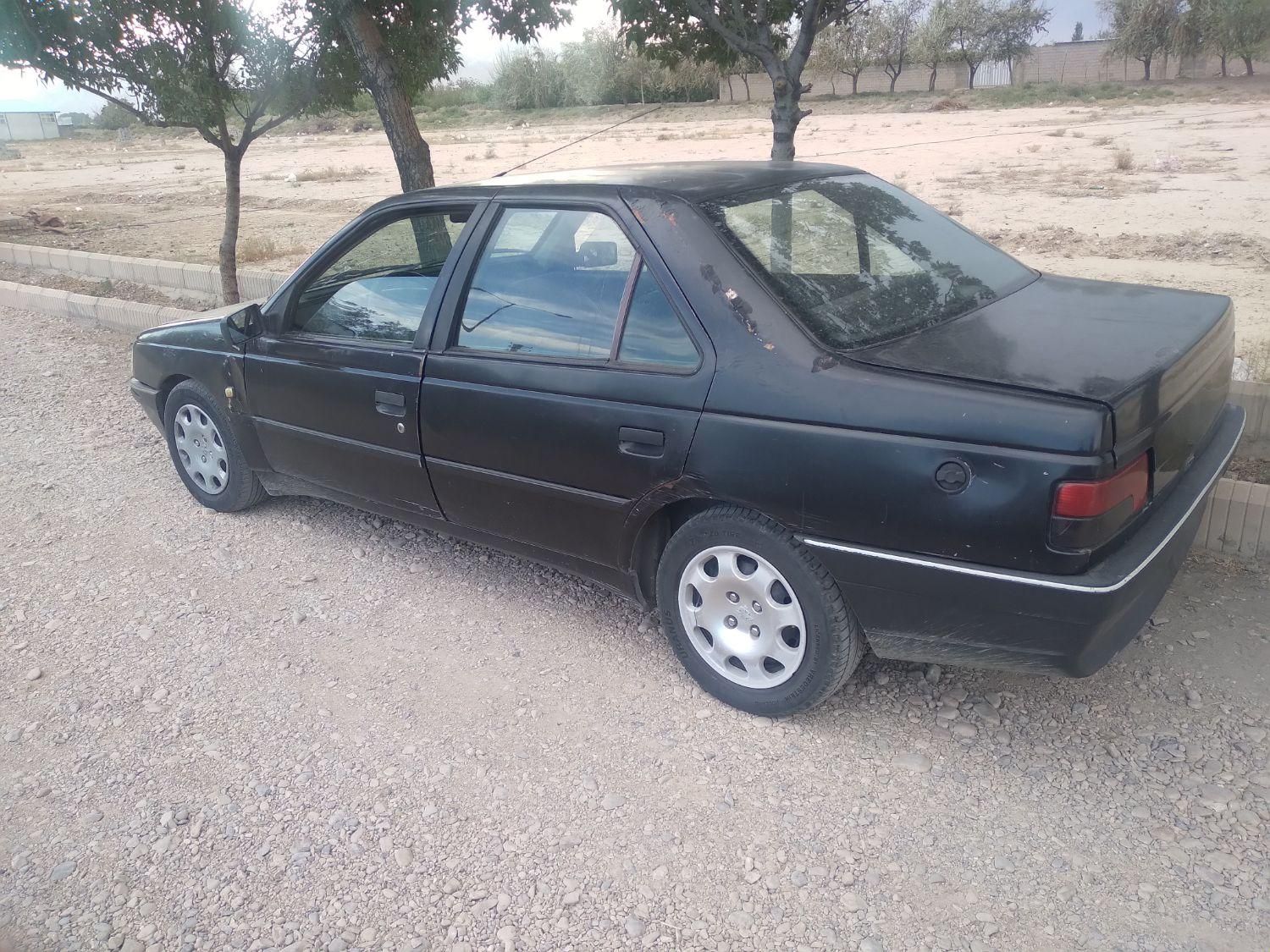 پژو 405 GLX - دوگانه سوز - 1381