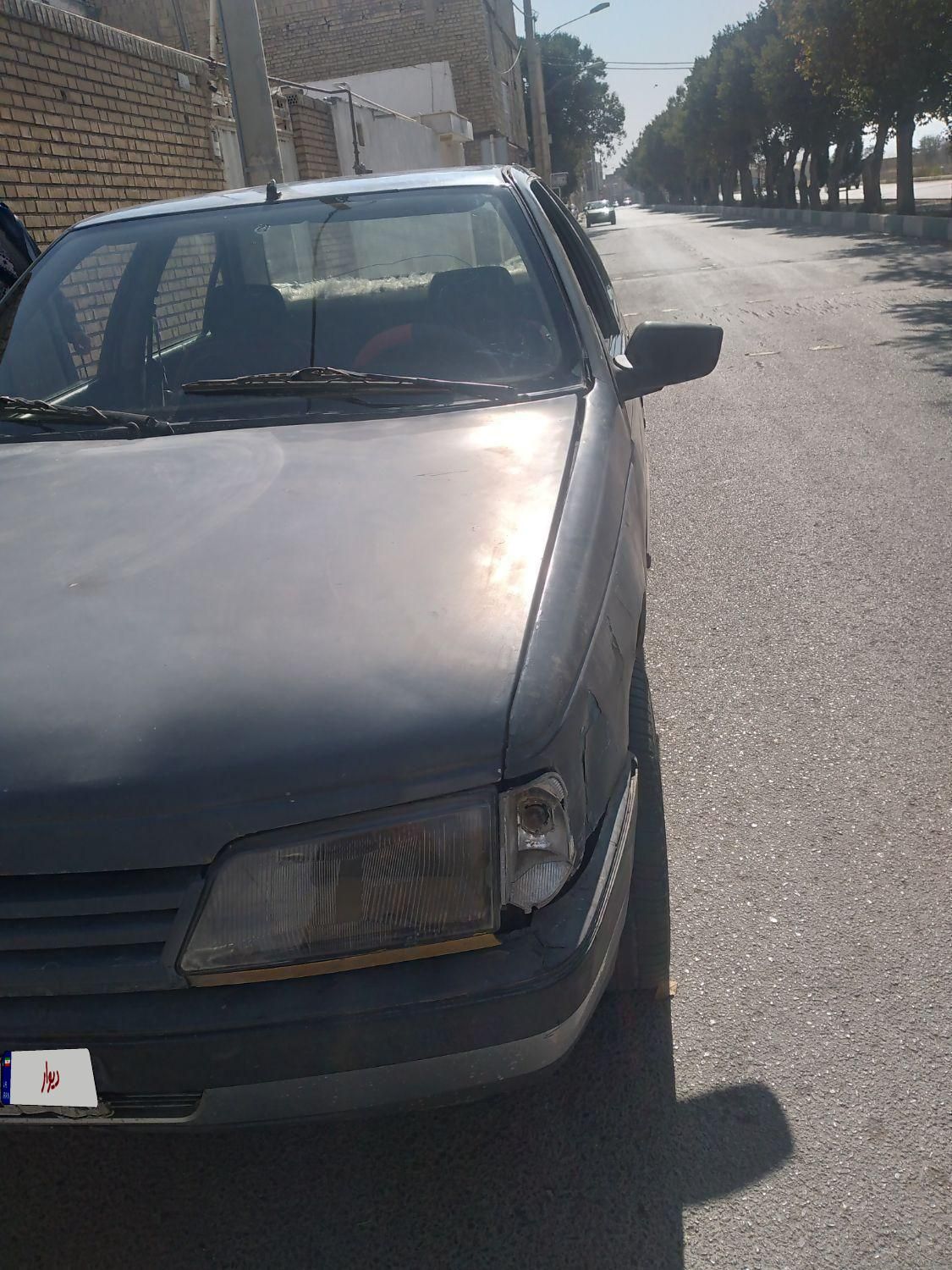 پژو آردی دوگانه سوز CNG - 1379