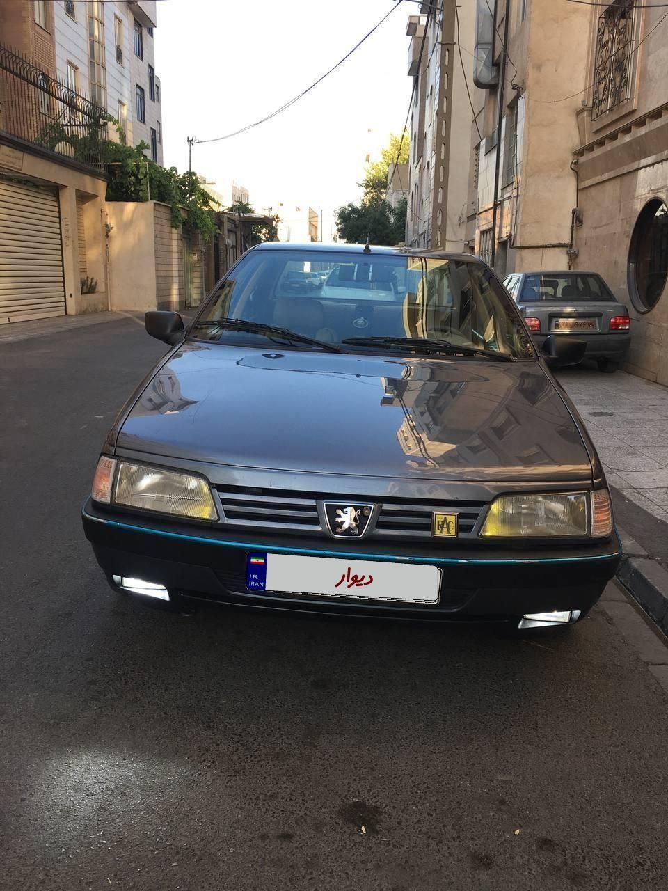 پژو 405 GLX - دوگانه سوز LPG - 1394