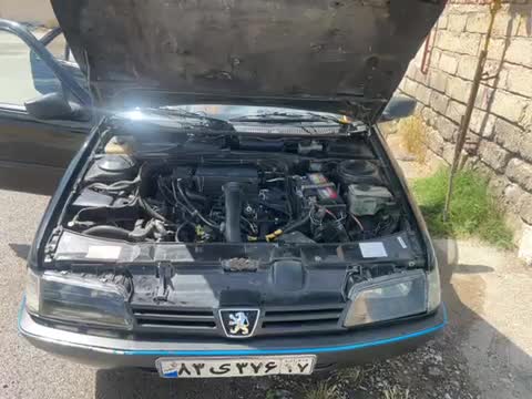 پژو 405 GLX - دوگانه سوز - 1383