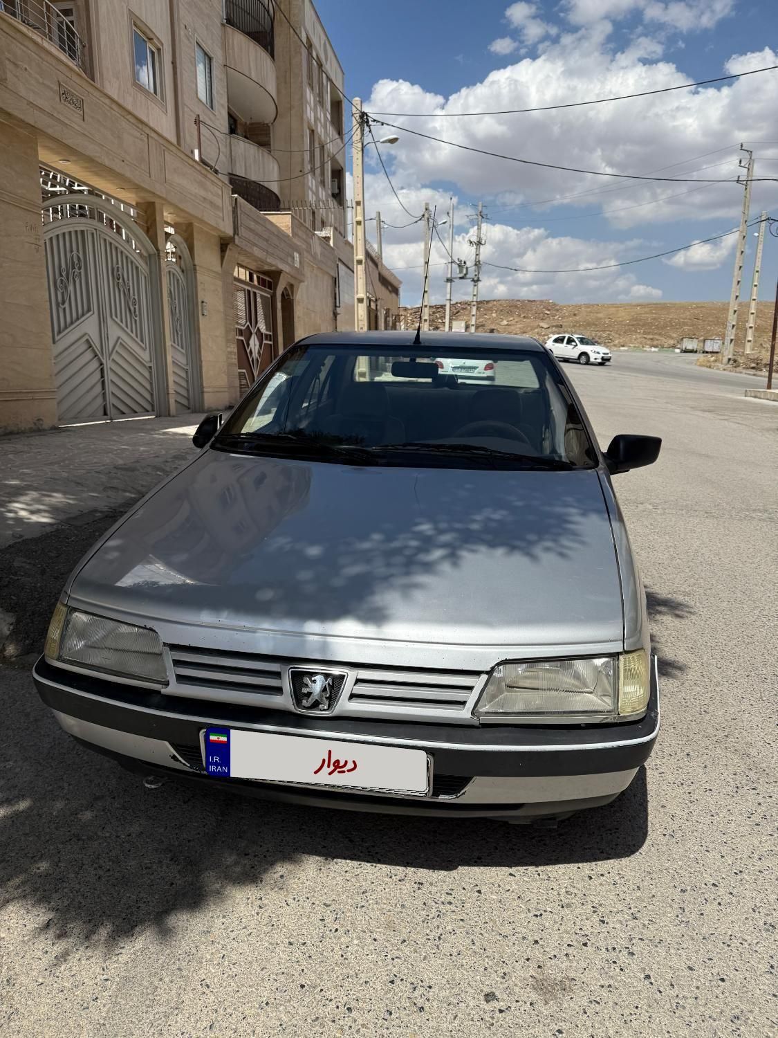 پژو 405 GLX - دوگانه سوز - 1391