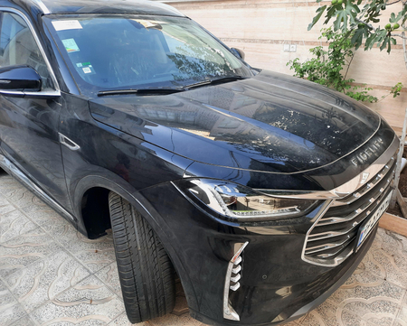 خودرو فیدلیتی، پرستیژ آگهی ann_18544884