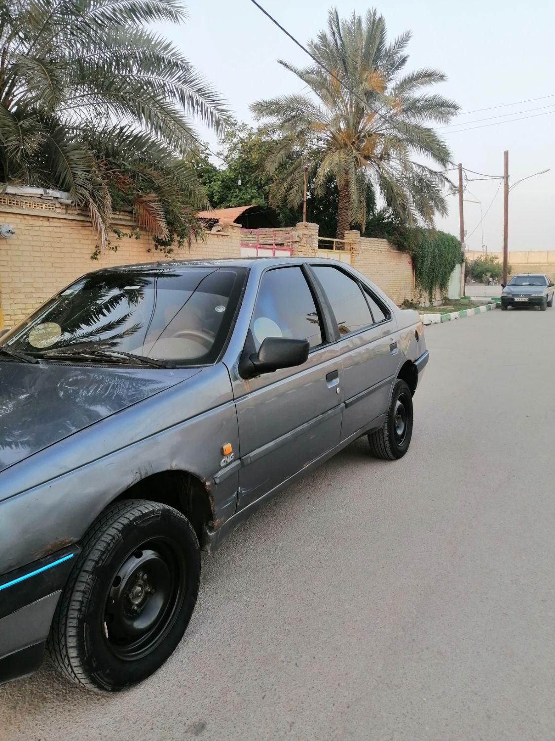 پژو 405 GLX - دوگانه سوز - 1394