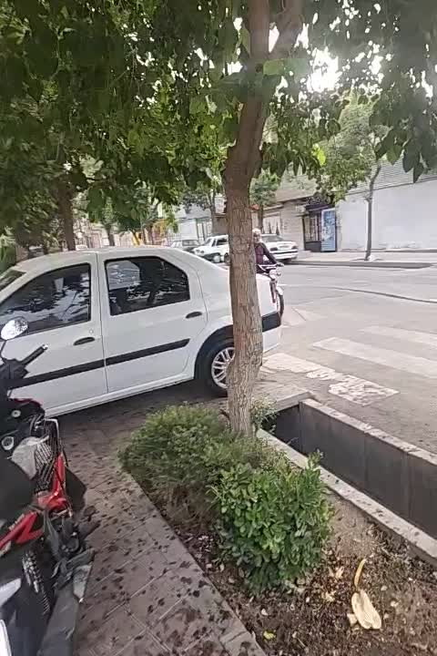 خودرو رنو، پارس تندر آگهی ann_18546119