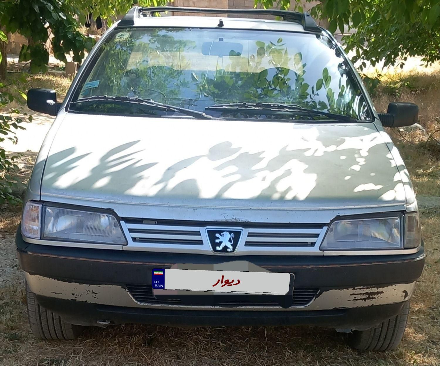 پژو 405 GLX - دوگانه سوز - 1389