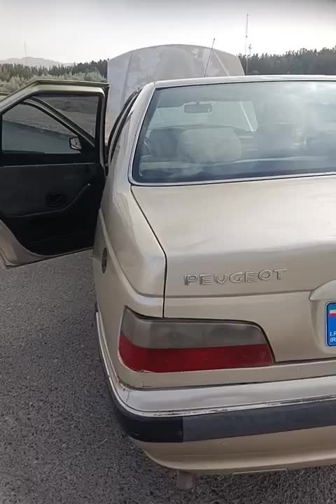 خودرو پژو، پارس آگهی ann_18551956
