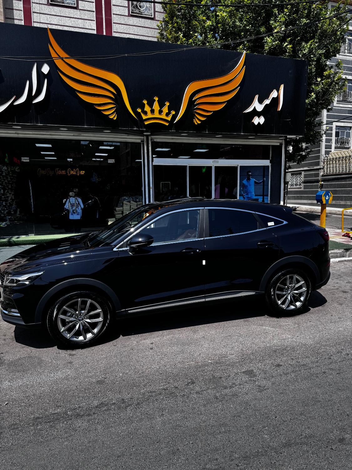 دیگنیتی پرایم - - 2024