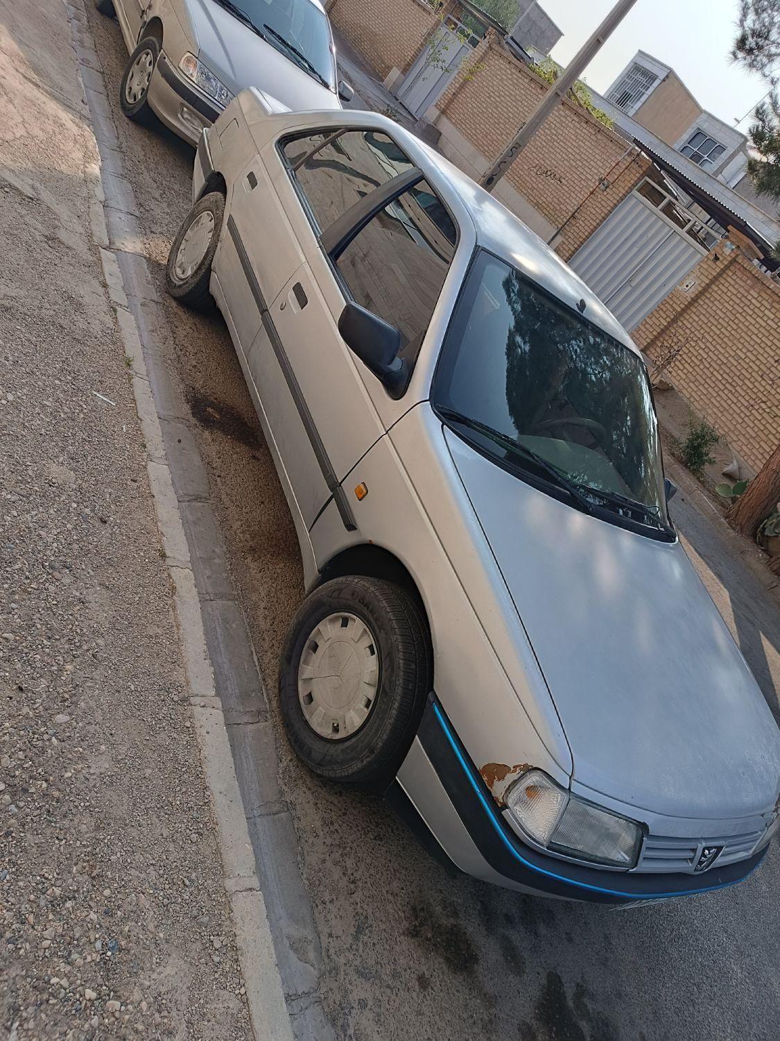 پژو 405 GL - دوگانه سوز CNG - 1369