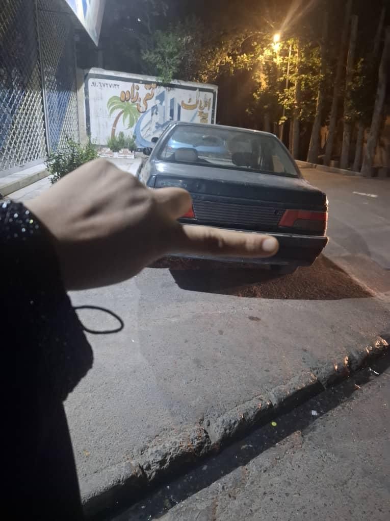 پژو آردی دوگانه سوز LPG - 1382