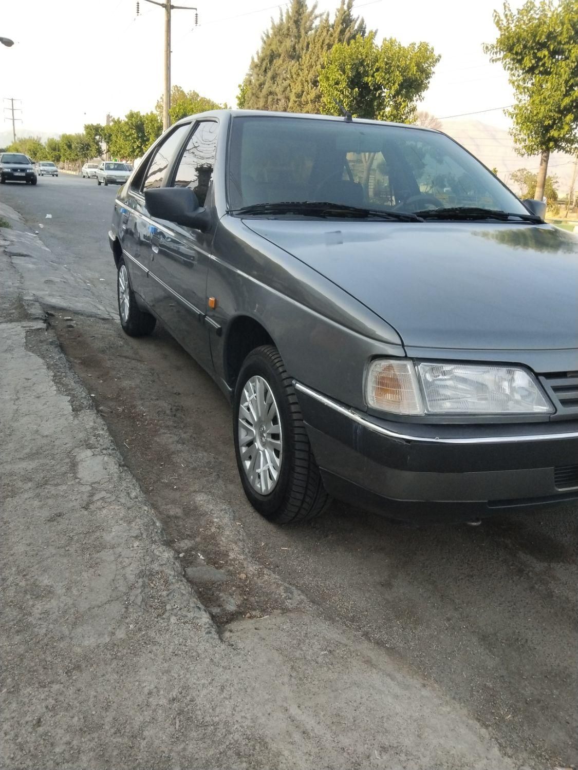 پژو 405 GL - دوگانه سوز CNG - 1369