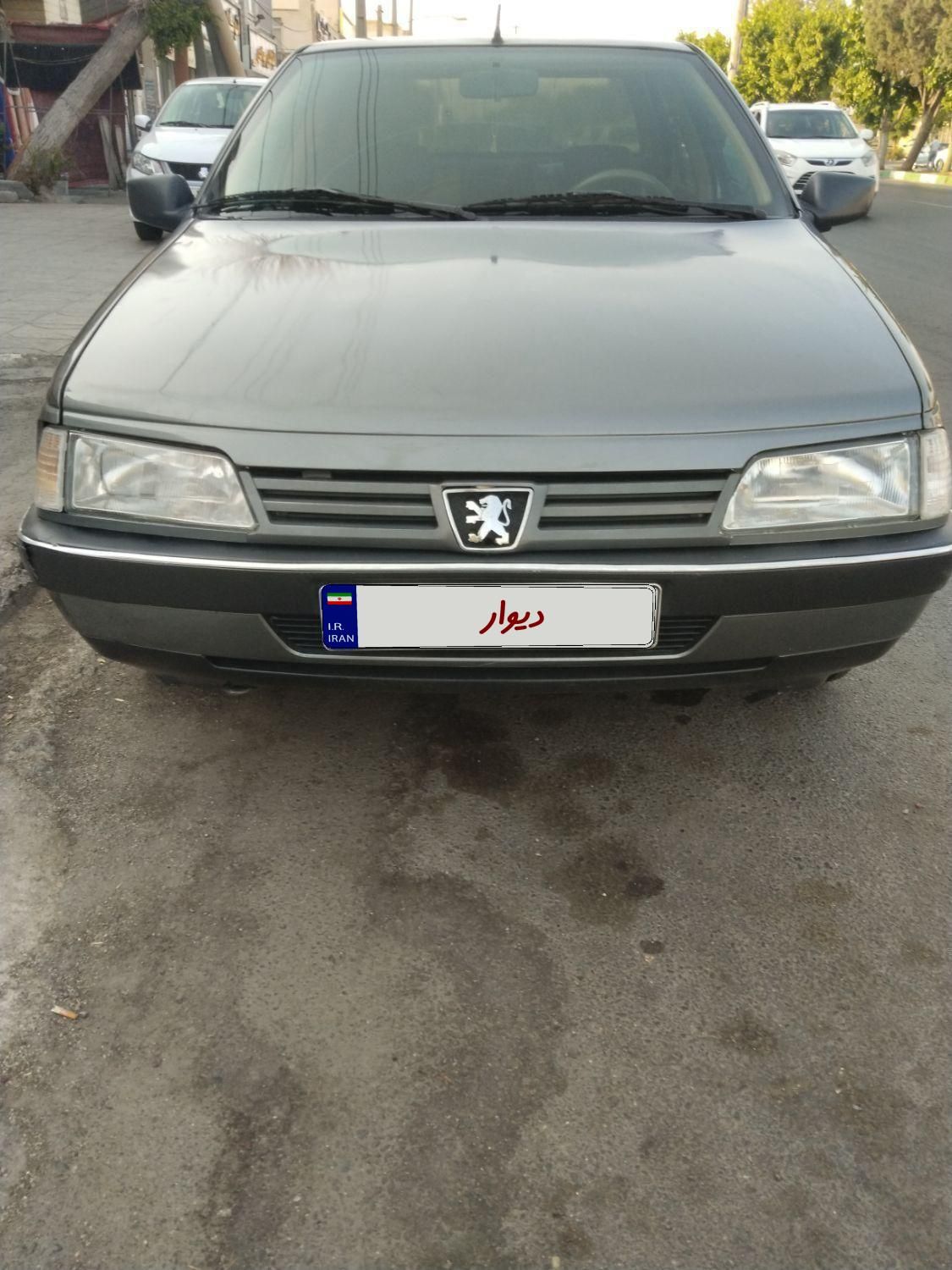 پژو 405 GL - دوگانه سوز CNG - 1369