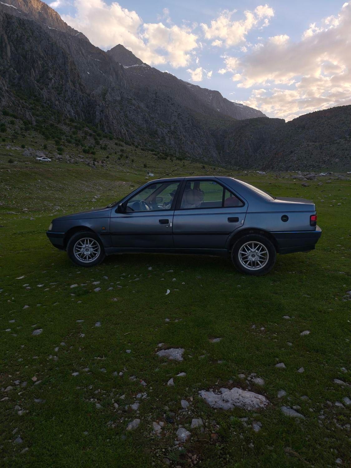 پژو 405 GLX - 1396