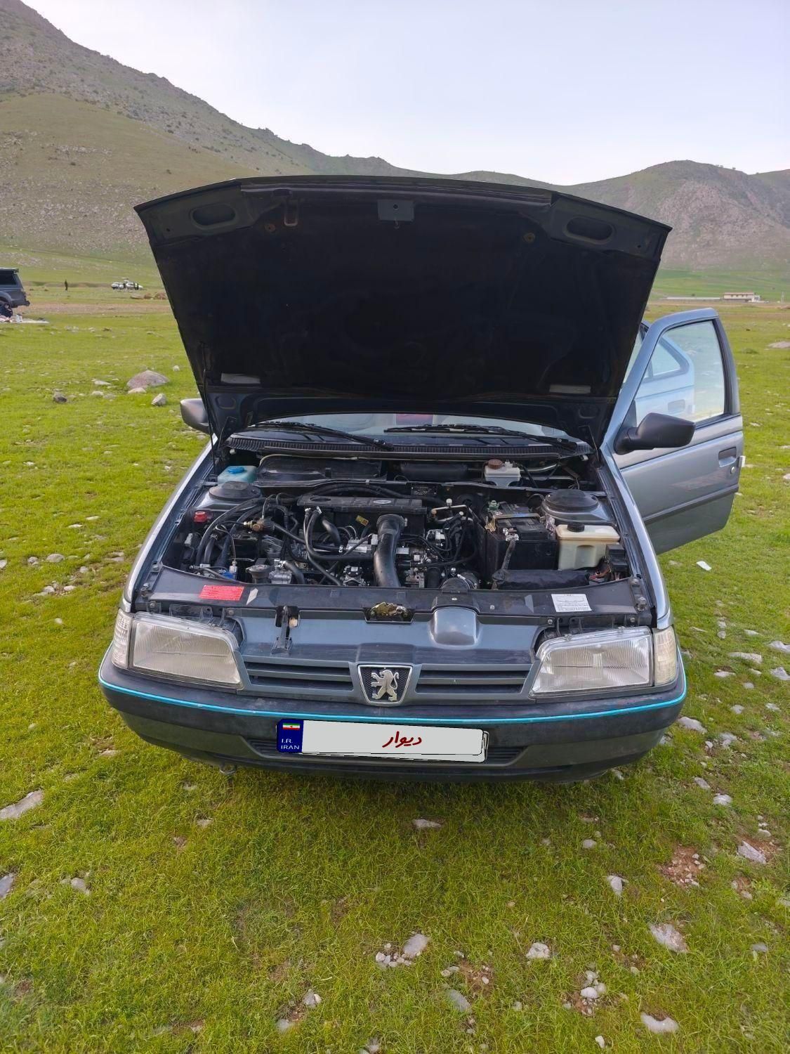 پژو 405 GLX - 1396