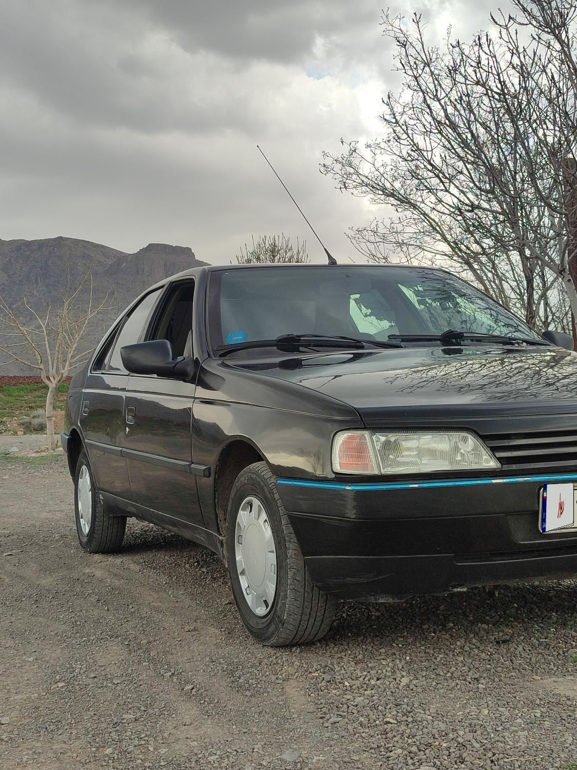 پژو 405 GLX - 1380