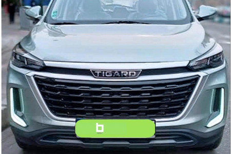 تیگارد X35 ساده - 1404