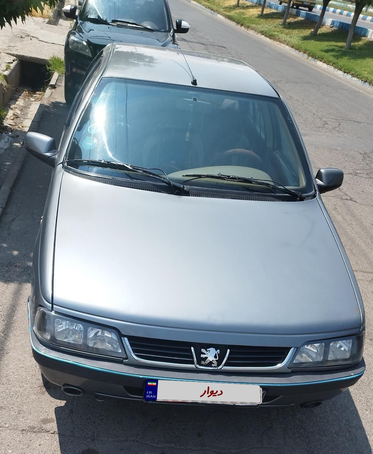 پژو 405 SLX بنزینی TU5 - 1391