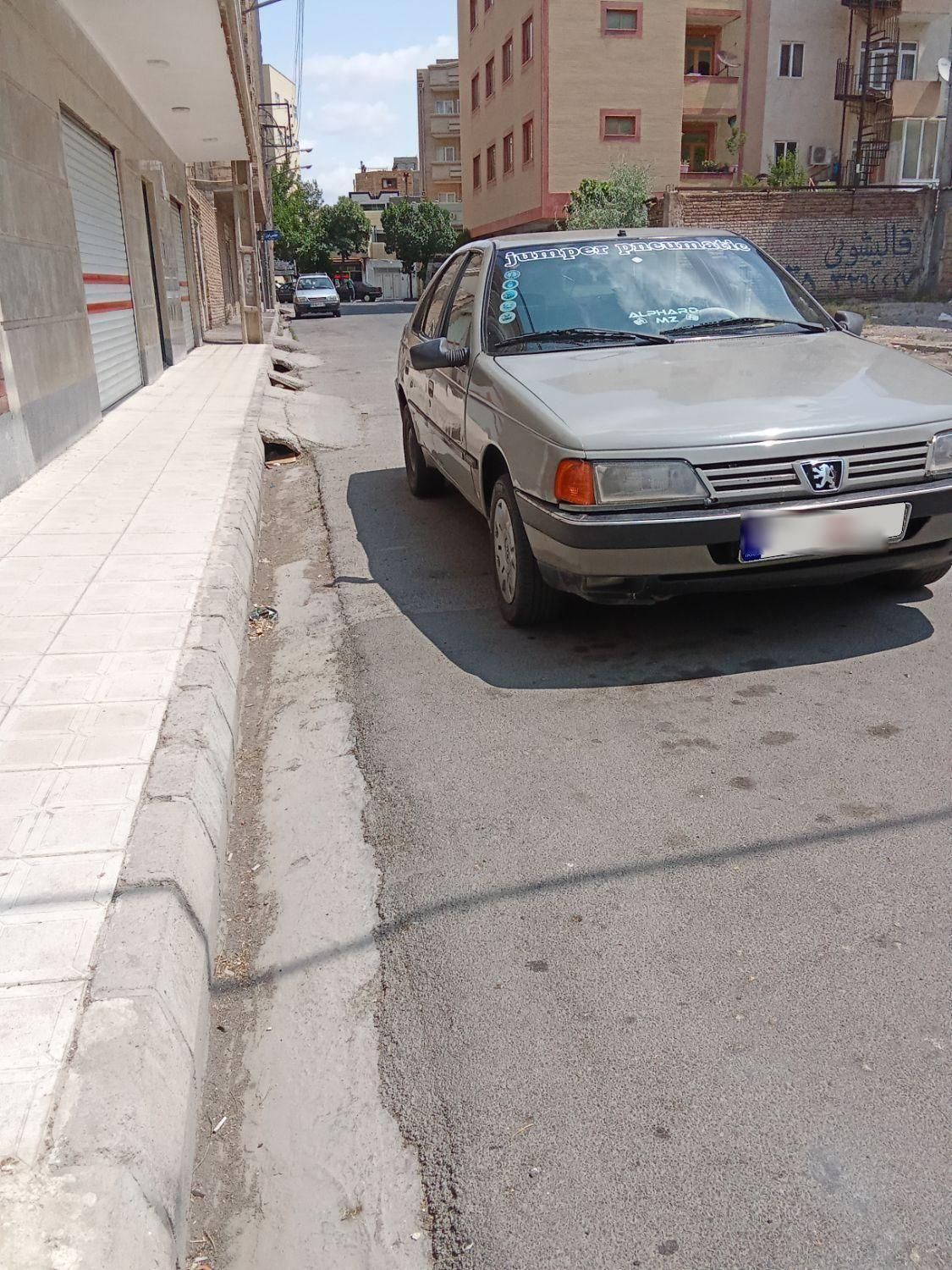 پژو آردی دوگانه سوز CNG - 1382