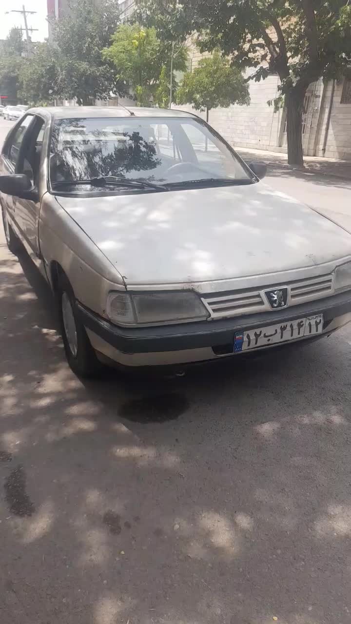 خودرو پژو، 405 آگهی ann_18572571