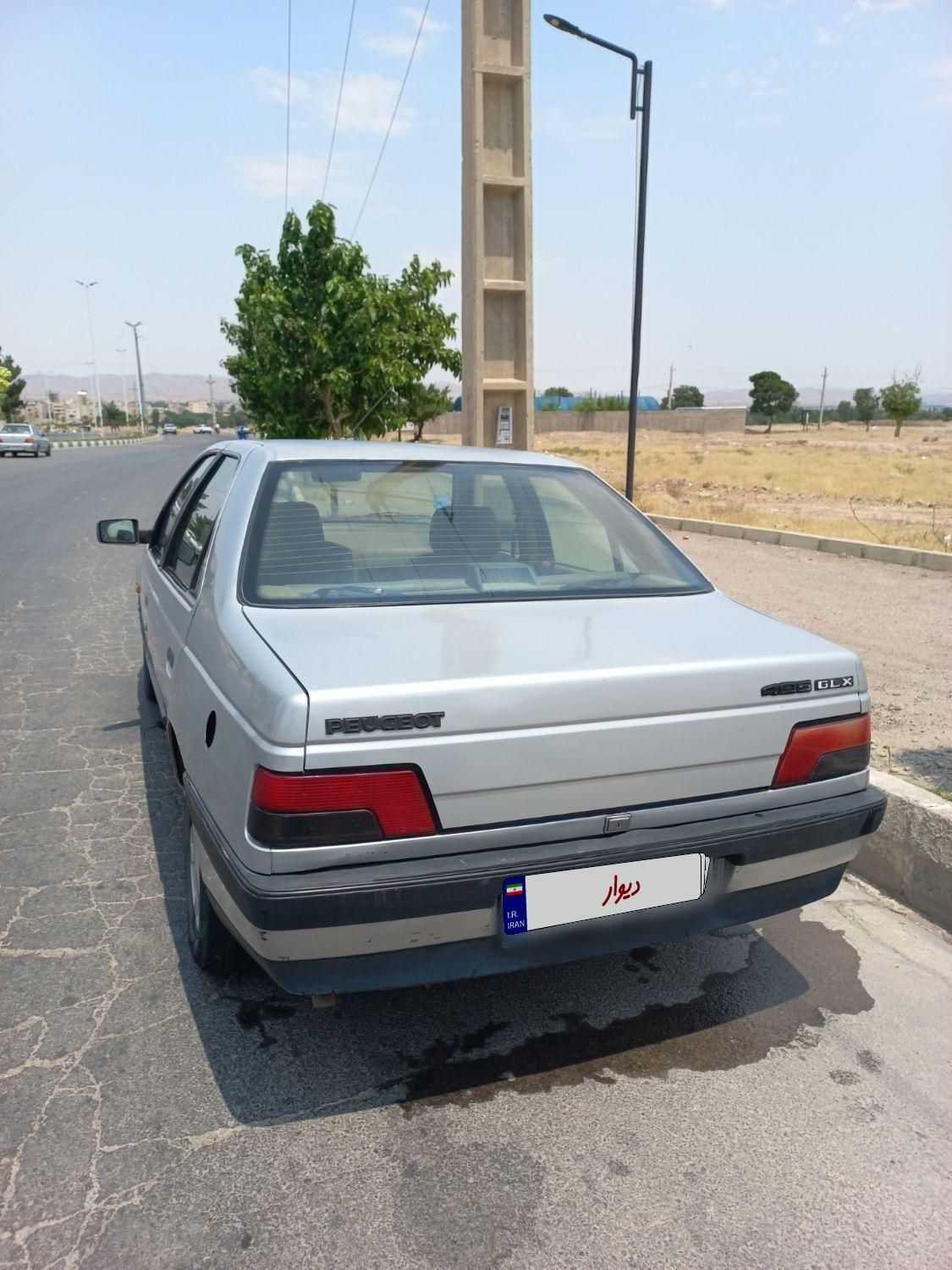 پژو 405 GLX - دوگانه سوز - 1391