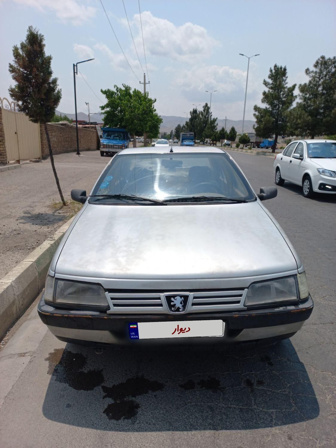 پژو 405 GLX - دوگانه سوز - 1391