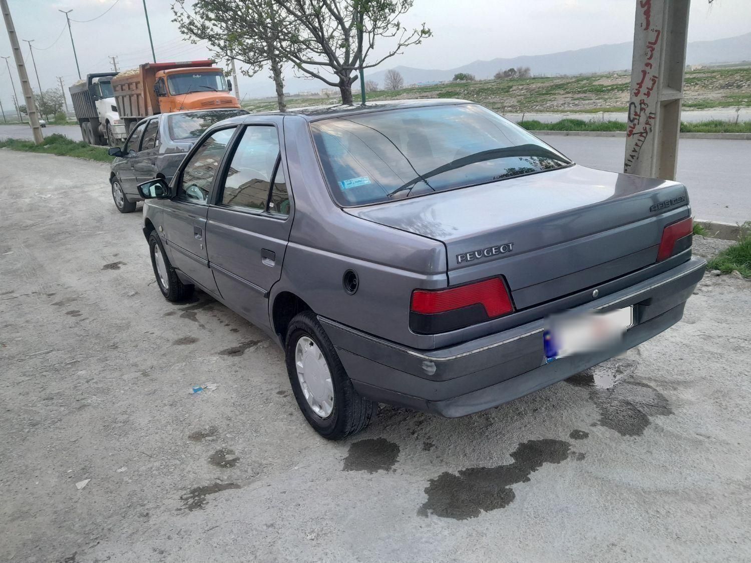 پژو 405 GLX - دوگانه سوز - 1395