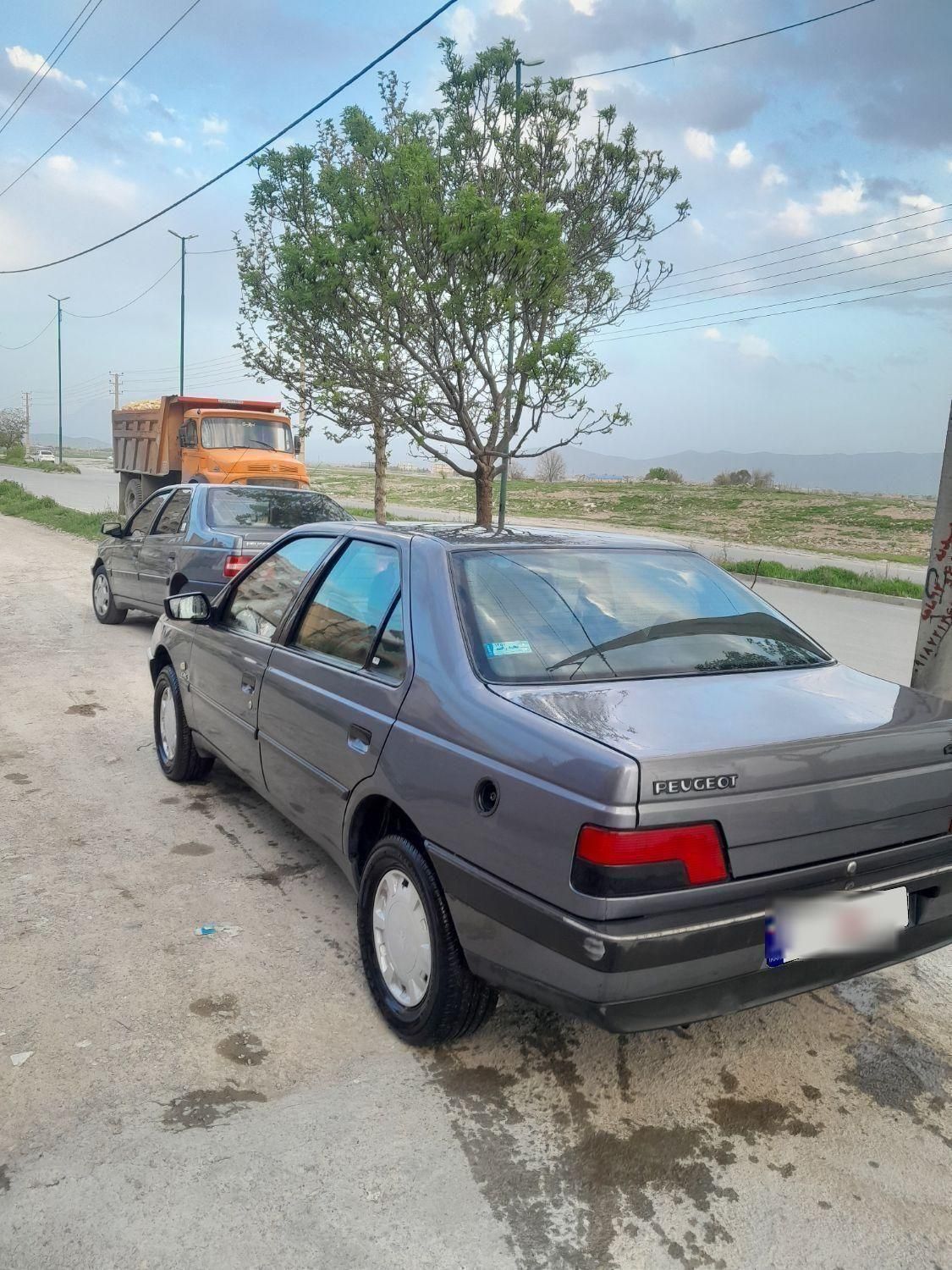 پژو 405 GLX - دوگانه سوز - 1395